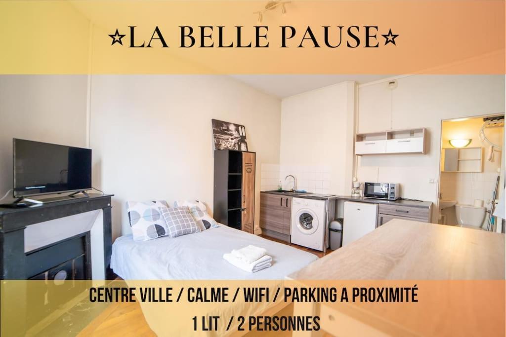 La Belle Pause - Studio Auxerre Proche Parking Kültér fotó